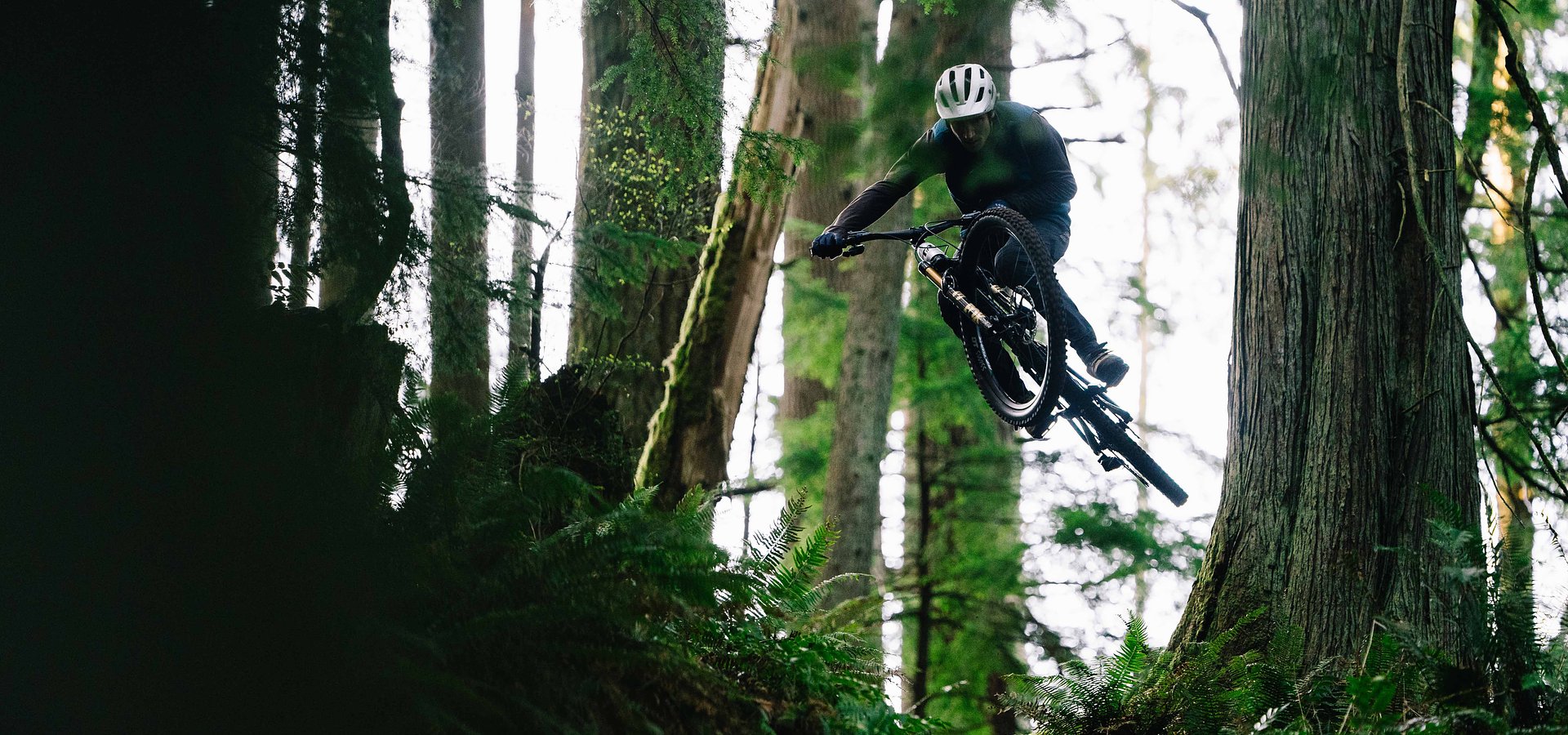 Transition Bikes stellt das neue TR11 sowie Updates für Sentinel und Regulator vor