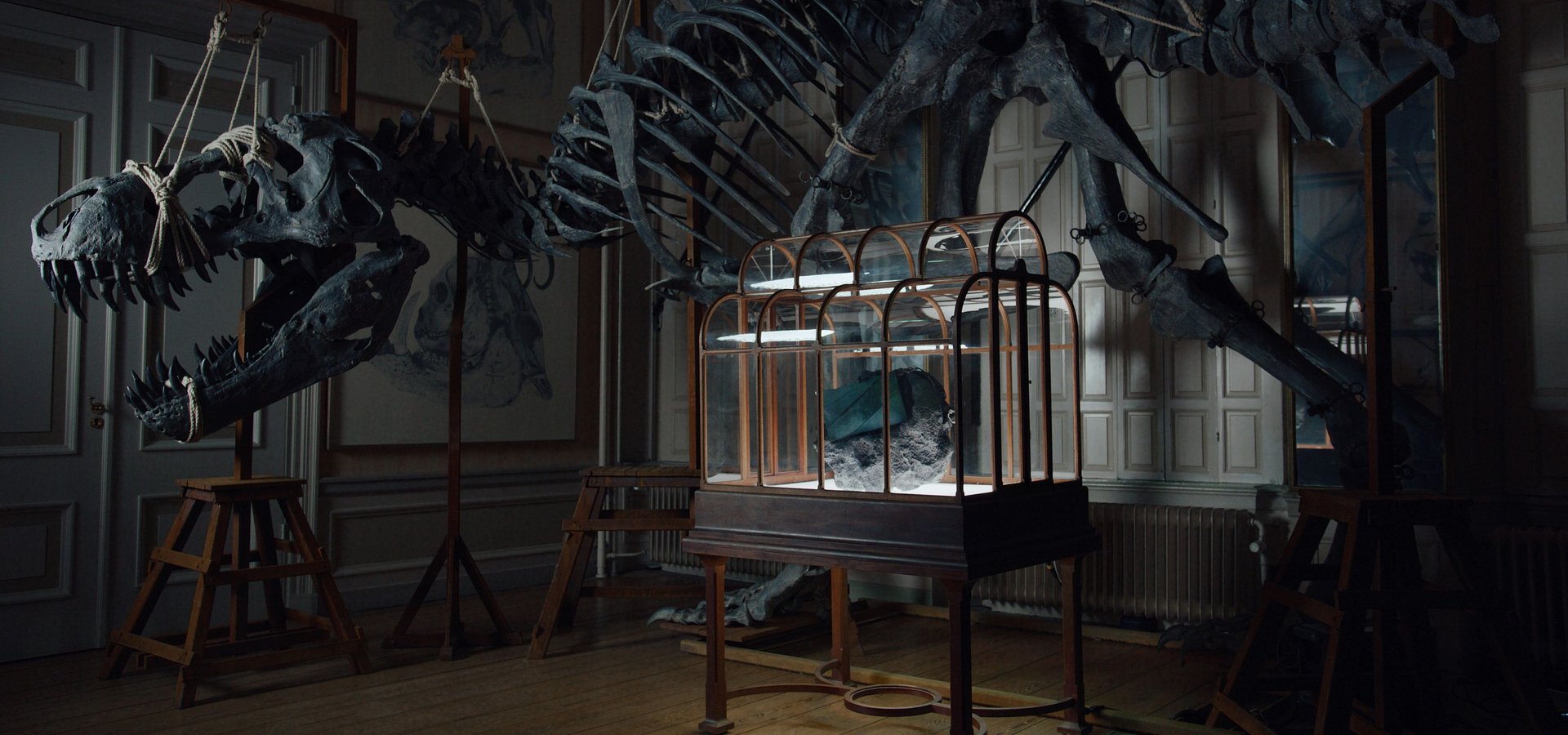 Światowy debiut produktu ze skóry T-Rexa – luksusowa torebka zaprojektowana przez Enfin Levé