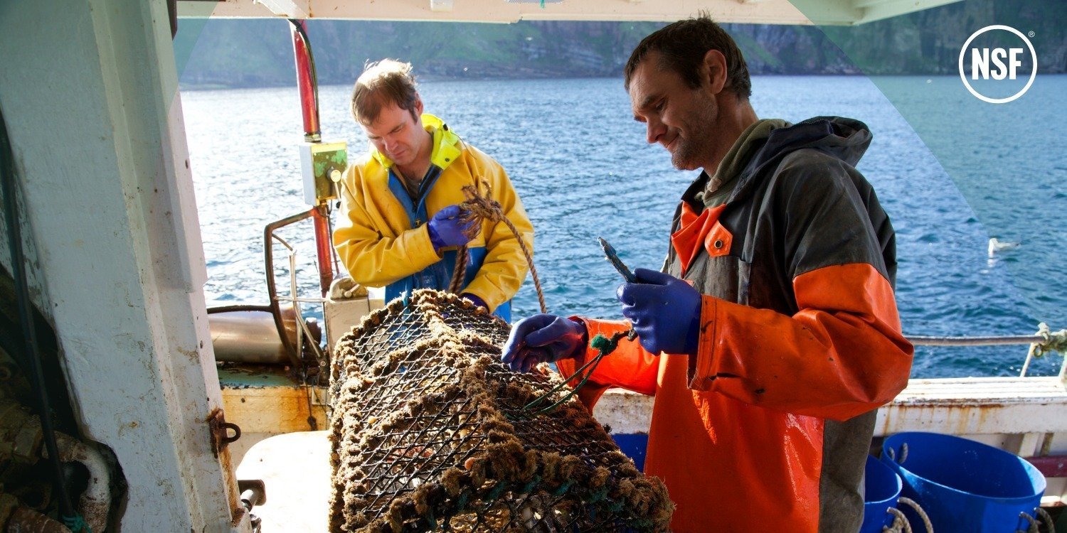 NSF Awards World-First Community Catch Certification to Orkney Crab Fishery