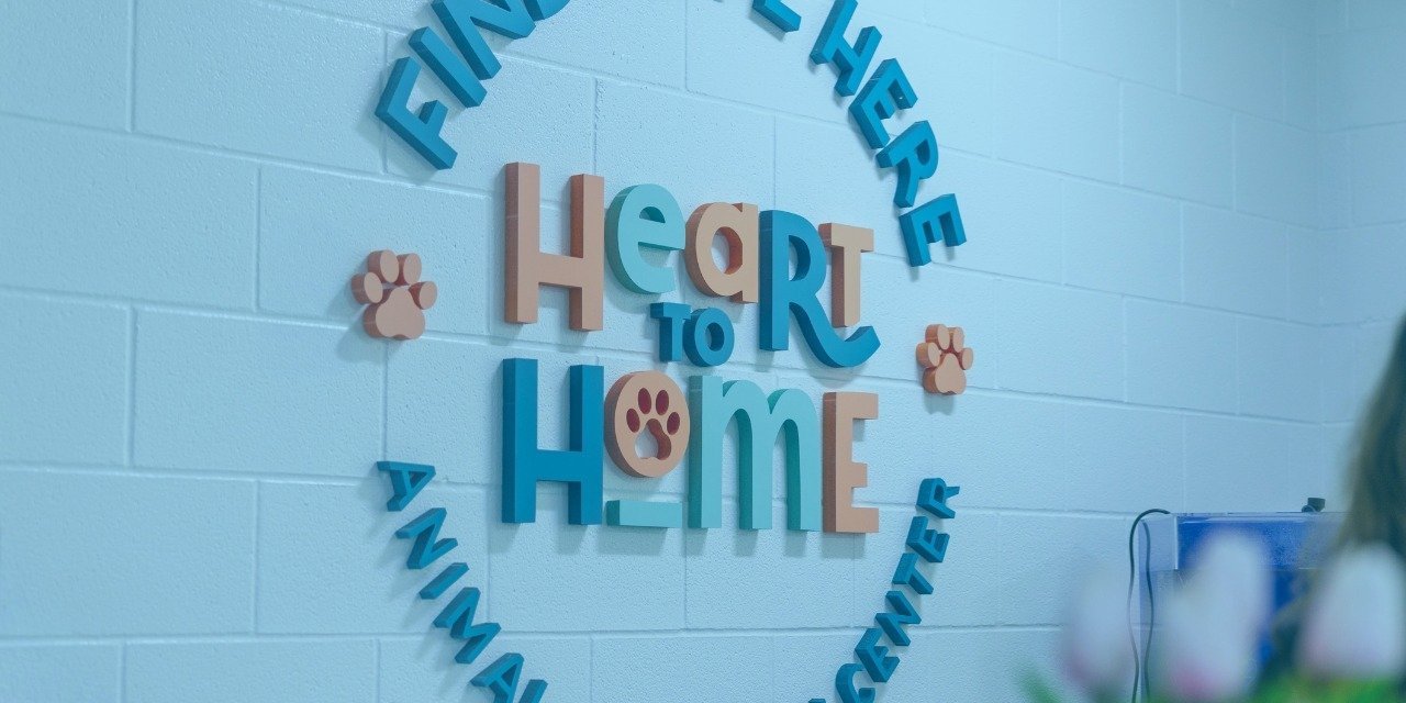 August is Clear the Shelters Month at Heart to Home Animal Adoption Center