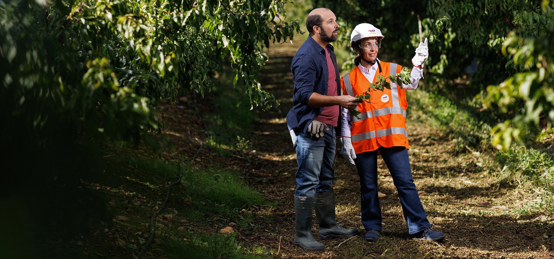 Zaawansowana technologia w służbie rolnictwa. Jak powstają środki smarne Agri w centrach R&D TotalEnergies?