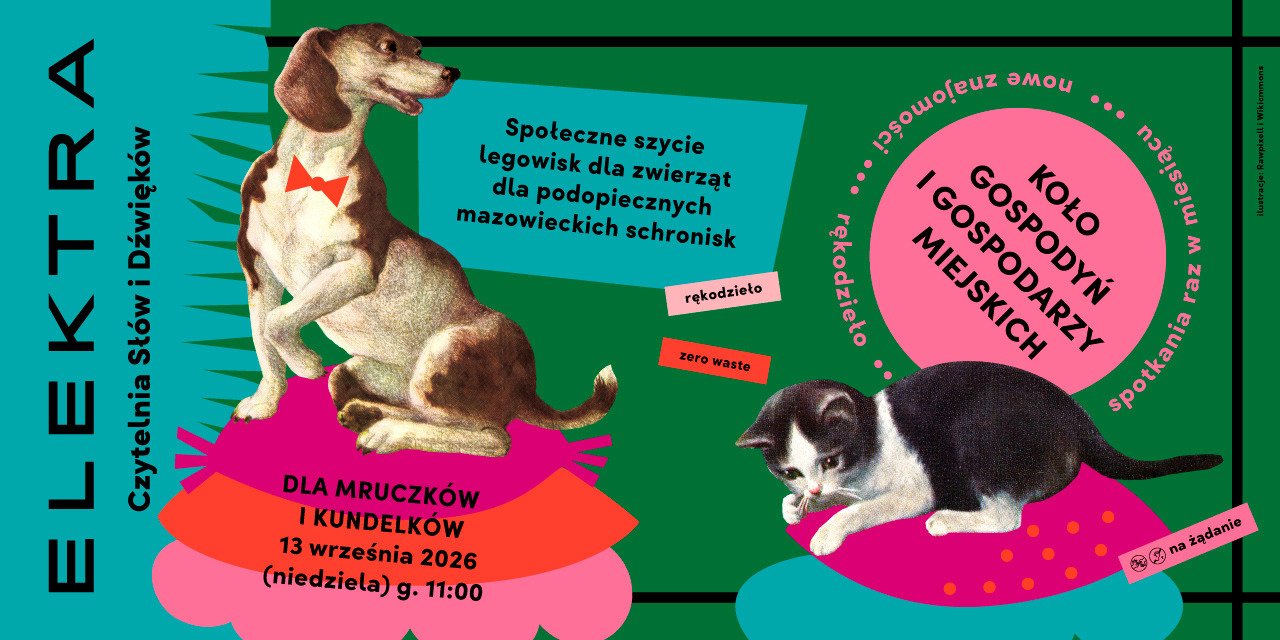 Koło Gospodyń i Gospodarzy Miejskich: Dla mruczków i kundelków – społeczne szycie legowisk dla podopiecznych mazowieckich schronisk