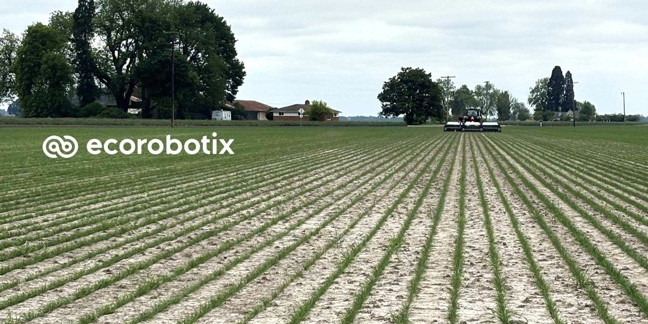 ARA™ Precision Sprayer Cuts Herbicide Application by 84% in Tall Fescue Trial