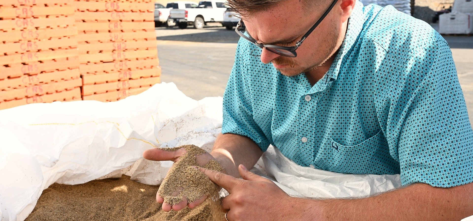 Precision Weed Control with ARA™ Helping to Protect Kentucky Bluegrass Seed Quality