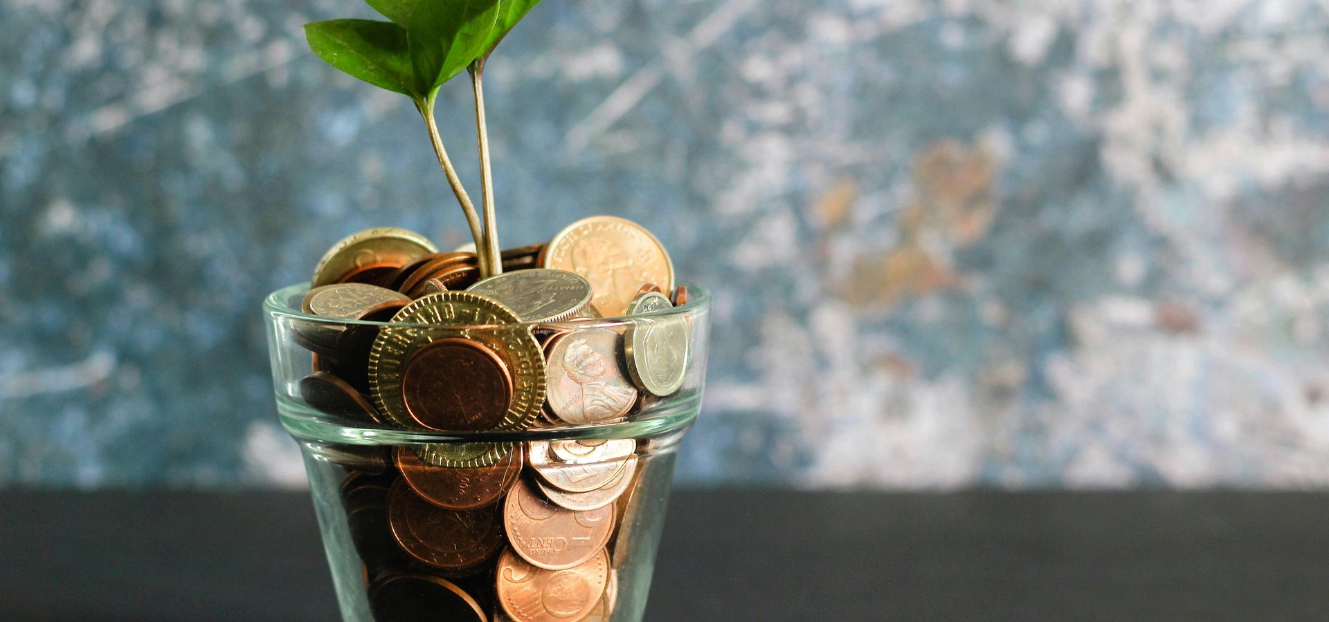 6 cuidados a ter antes de começar a investir