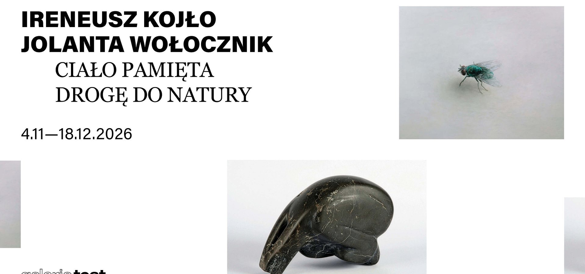 Wystawa Ireneusza Kojły i Jolanty Wołocznik „Ciało pamięta drogę do natury” w Galerii Test już od 4 listopada