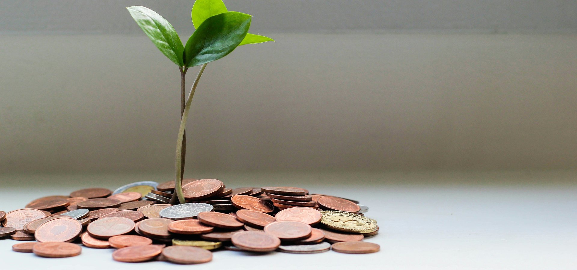 5 dicas para melhorar o bem-estar financeiro