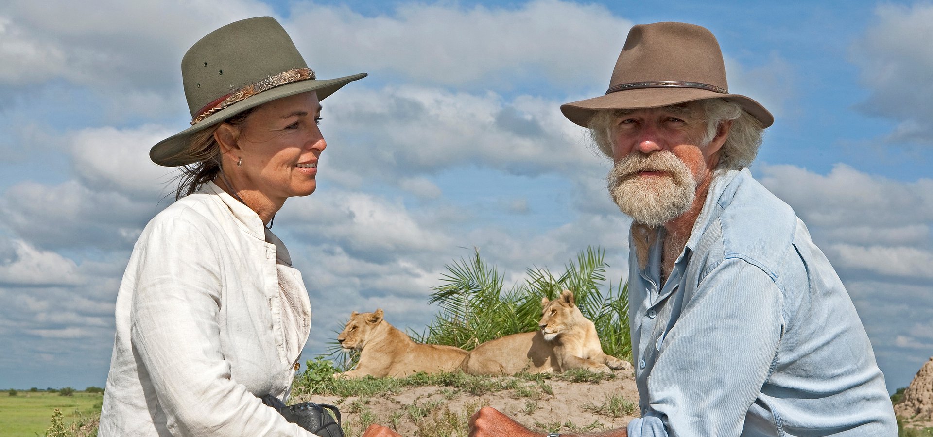 BIG CAT MONTH - FEVEREIRO É O MÊS DOS FELINOS NO NAT GEO WILD