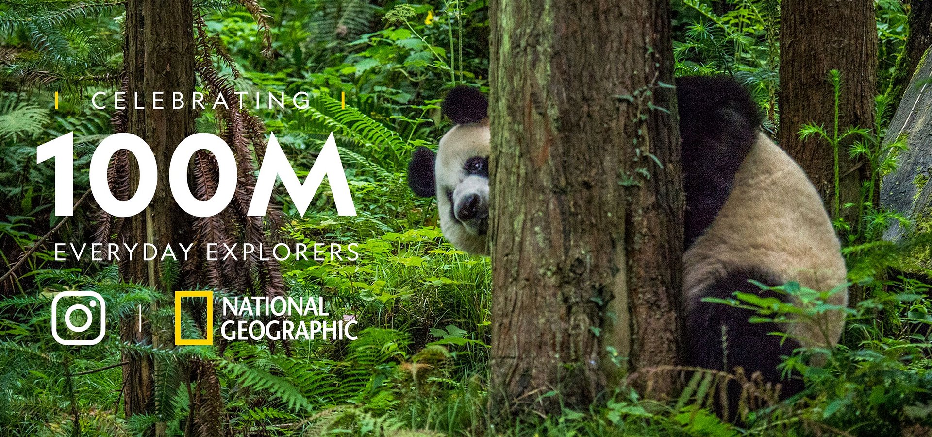 INSTAGRAM DA NATIONAL GEOGRAPHIC ATINGE 100 MILHÕES DE SEGUIDORES
