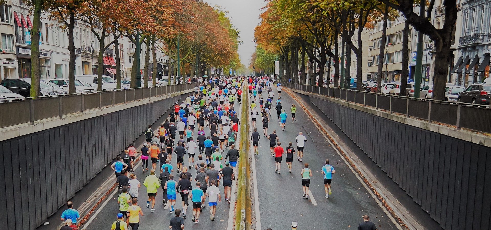 Ponad 300 biegów pod ochroną Europy