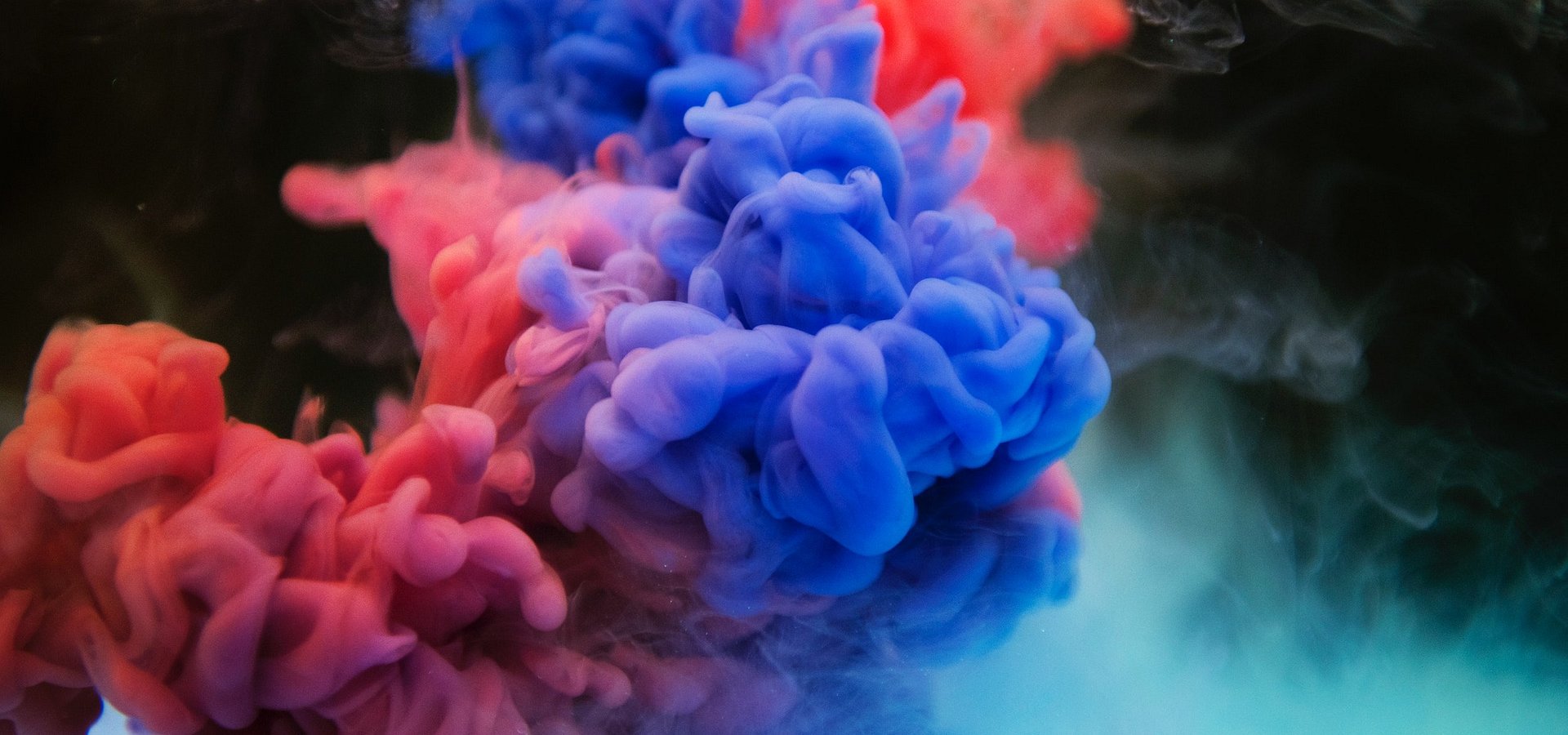 “Explosão de cores” da natureza em exposição no MadeiraShopping