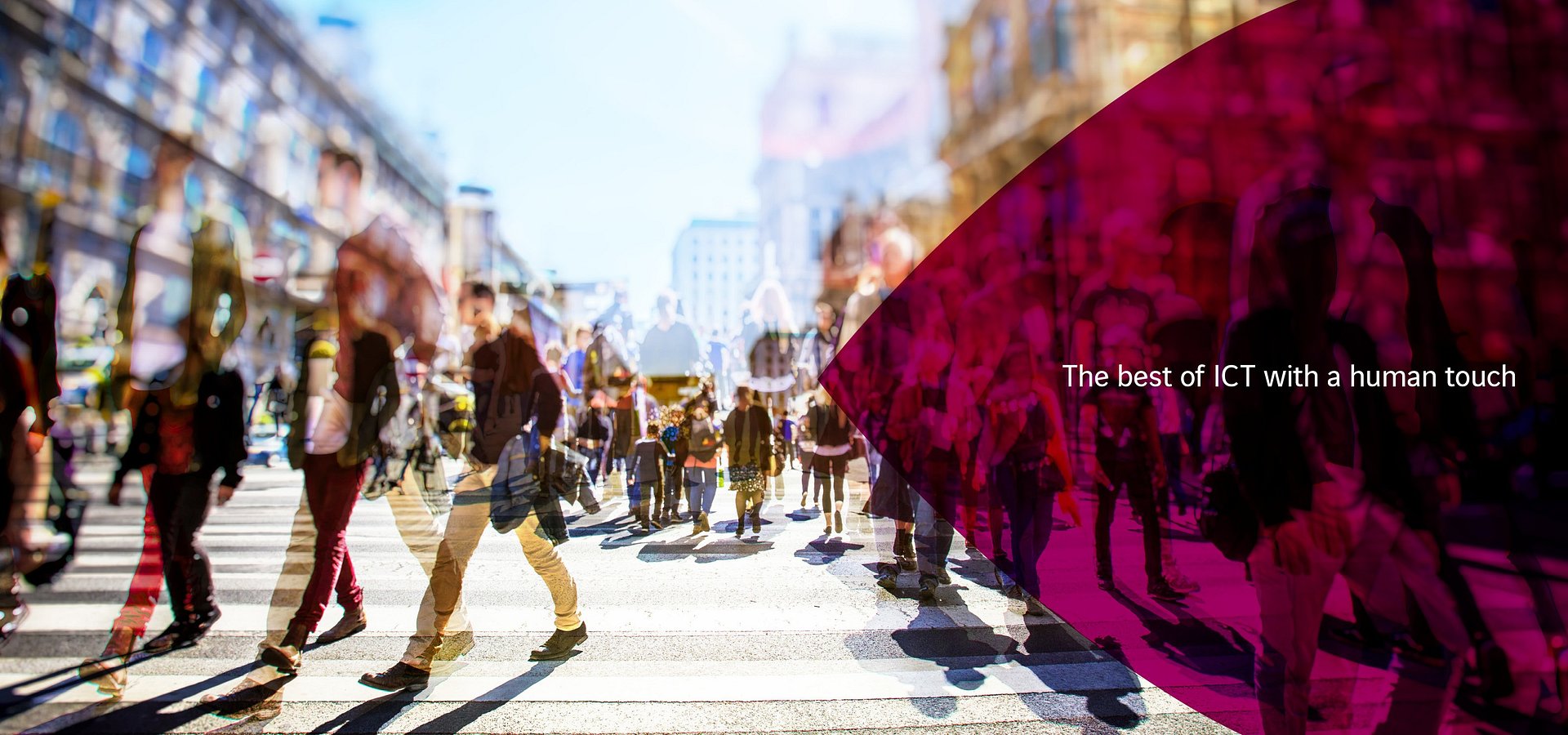 Equipa portuguesa entra no “campeonato” do Qatar