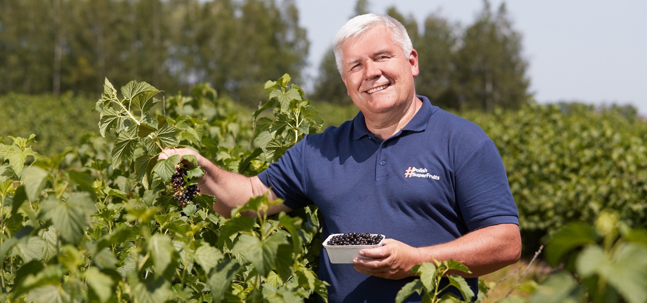 Czarna porzeczka – skoncentrowana bomba witaminowa dla odnowy skóry (filmy)