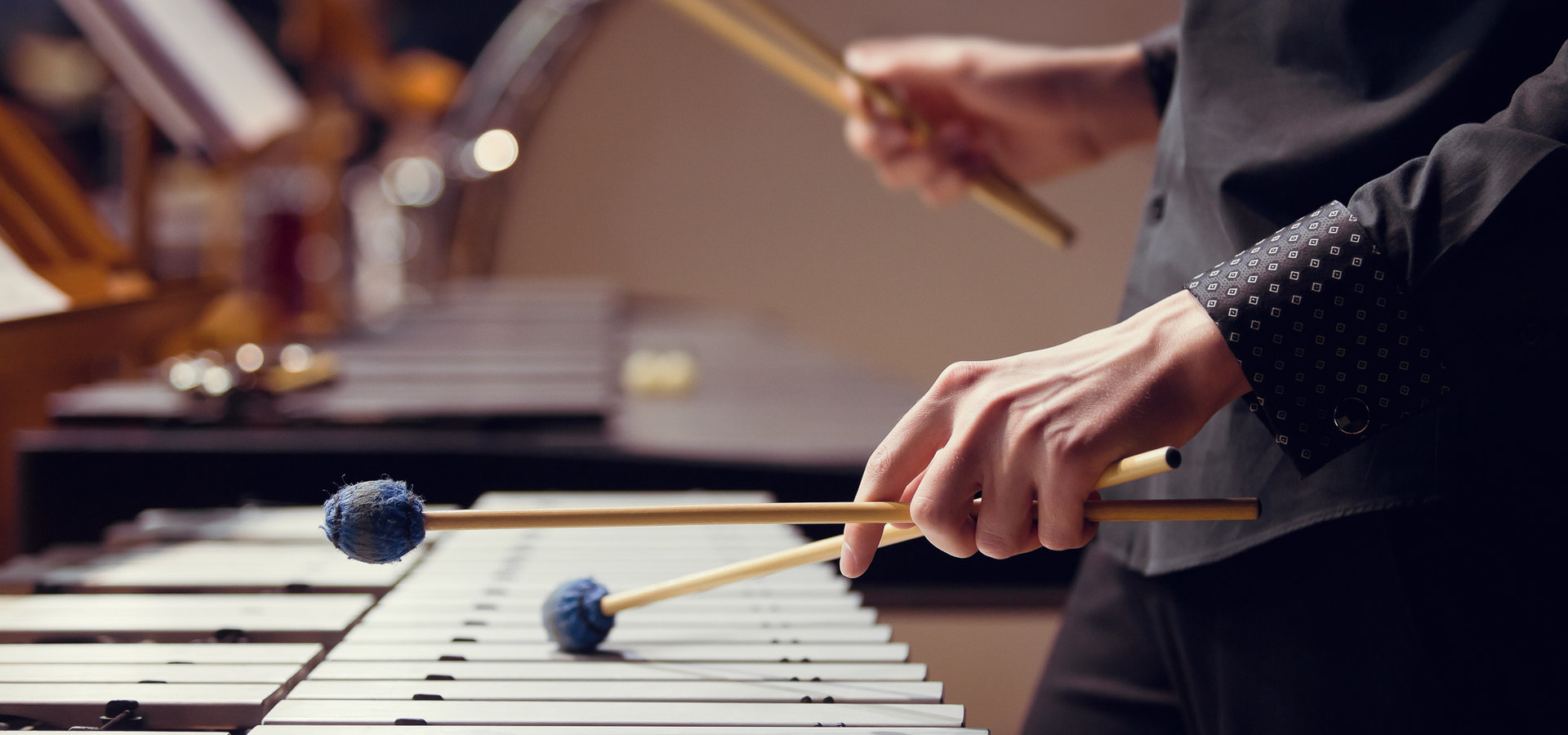 Koncert Wiosenny z udziałem Międzynarodowej Orkiestry AEFE 