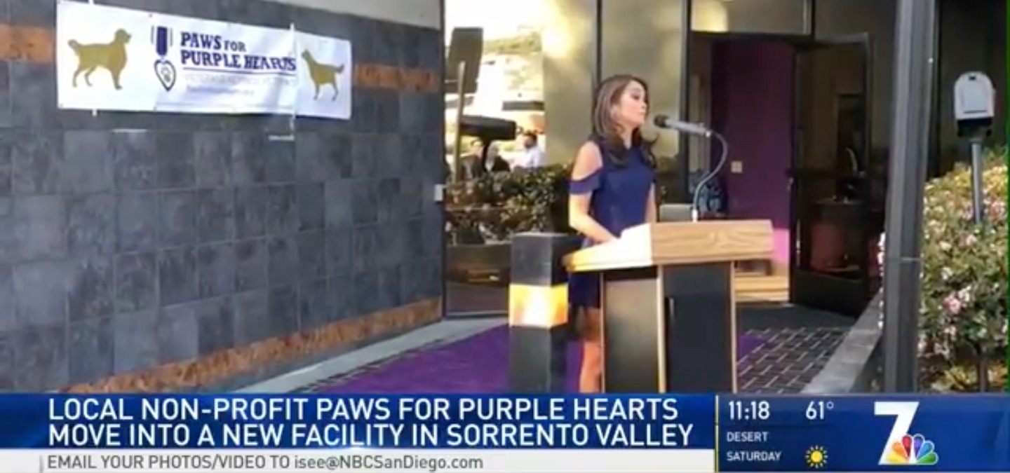 NBC 7 Evening News Features Paws for Purple Hearts Grand Opening