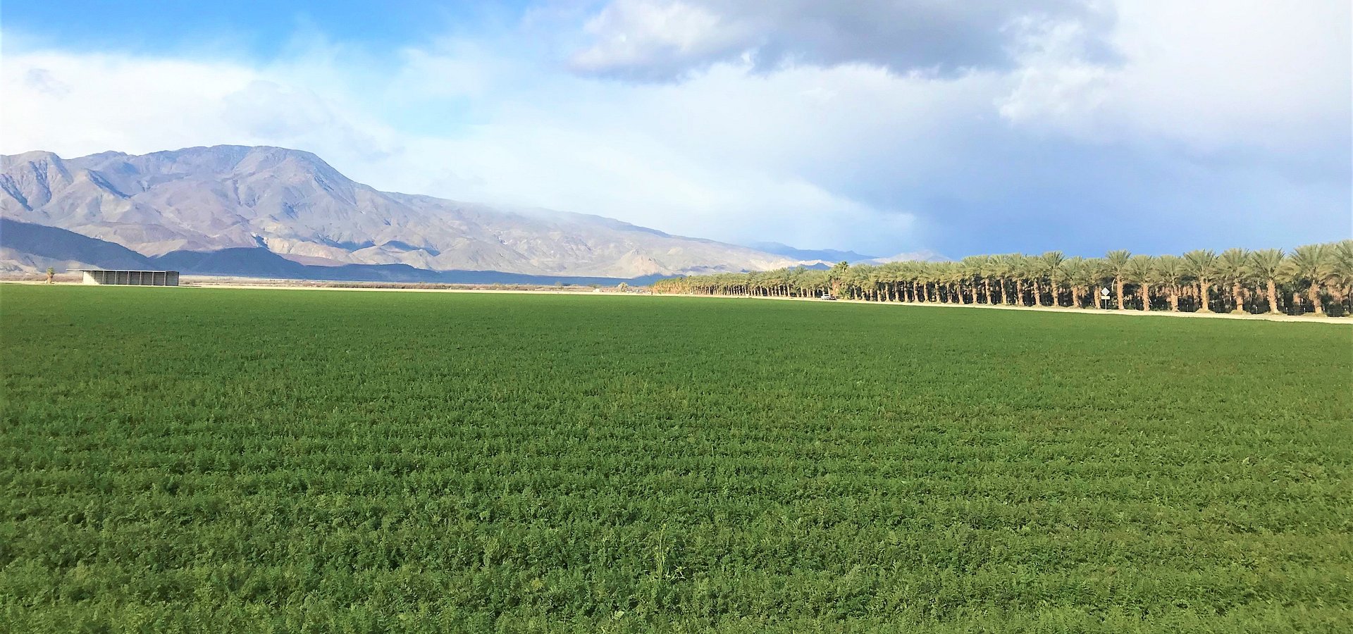 Coldwell Banker Residential Brokerage Lists Approximately 628.77-Acre Thermal Property for $15 Million