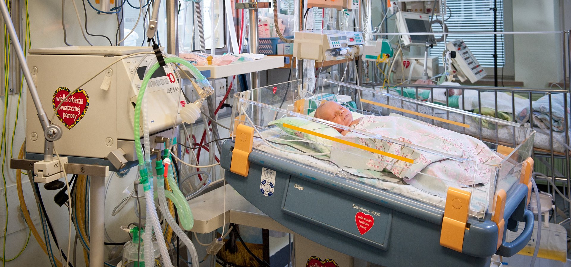 WOŚP z rekordowym wynikiem 1%