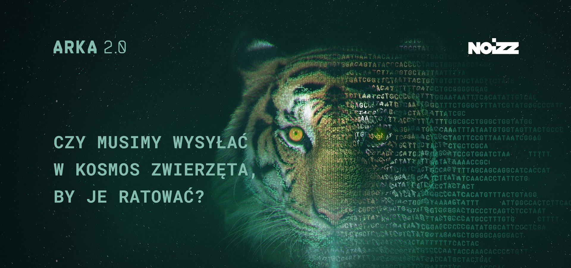 Ruszyła ARKA 2.0 - najnowszy projekt dla NOIZZ.pl i BNP Paribas Bank Polska