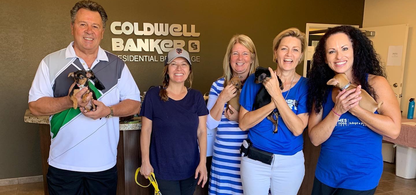 Coldwell Banker Residential Brokerage Arizona & Local Animal Rescues Host Successful National “Homes for Dogs” Adoption Weekend