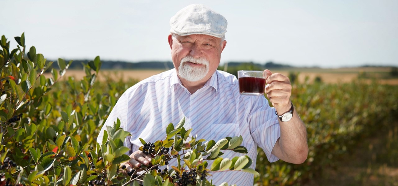 Aronia - najsmaczniejsze lekarstwo na świecie