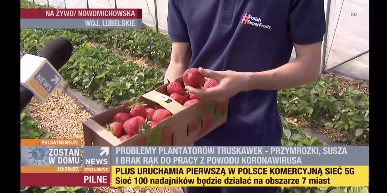 Udany początek sezonu polskich superowoców