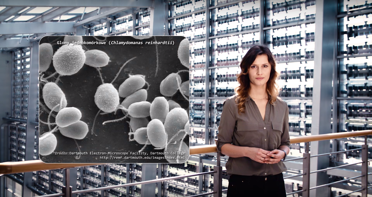 Jak na mózg wpływa stres, a jak światło lasera?