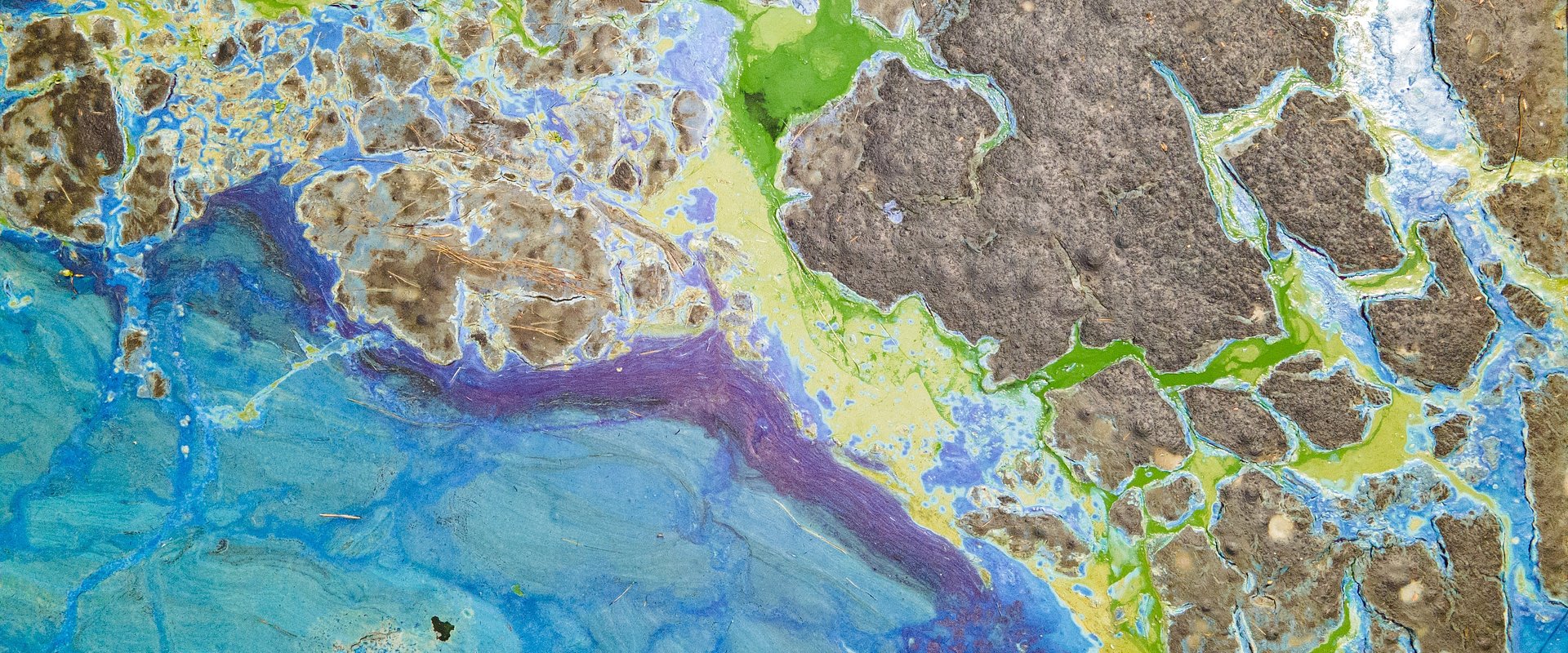 I. Florida Senate files sneak-attack legislation threatening Everglades restoration and protections for Florida’s waters