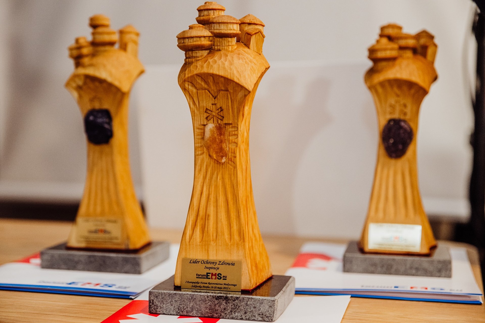 Zespoły ratownictwa, Ratownicy Obywatelscy i profilaktycy czyli triada ratownicza.