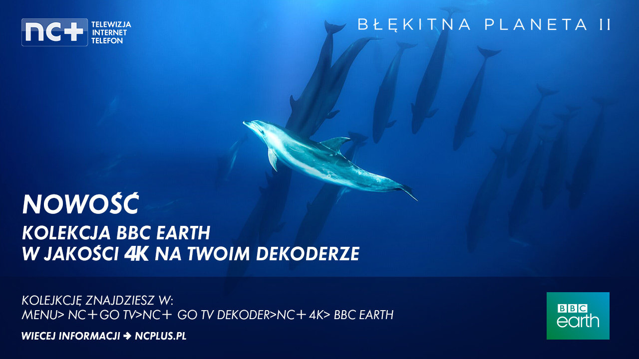 Platforma nc+ z kolekcjami 4K w nc+ GO TV