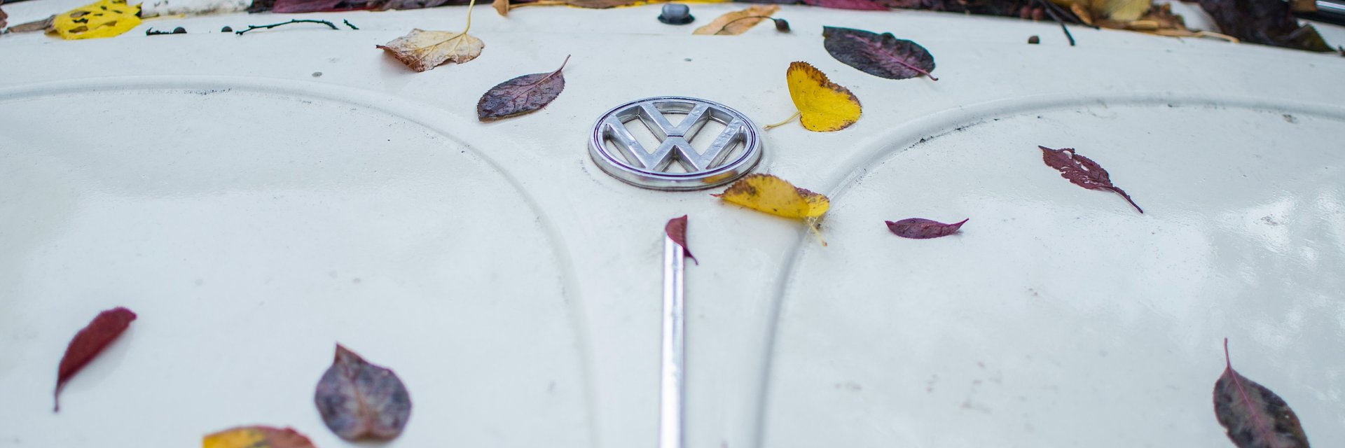 6,300 Austrian Jobs Depend on VW