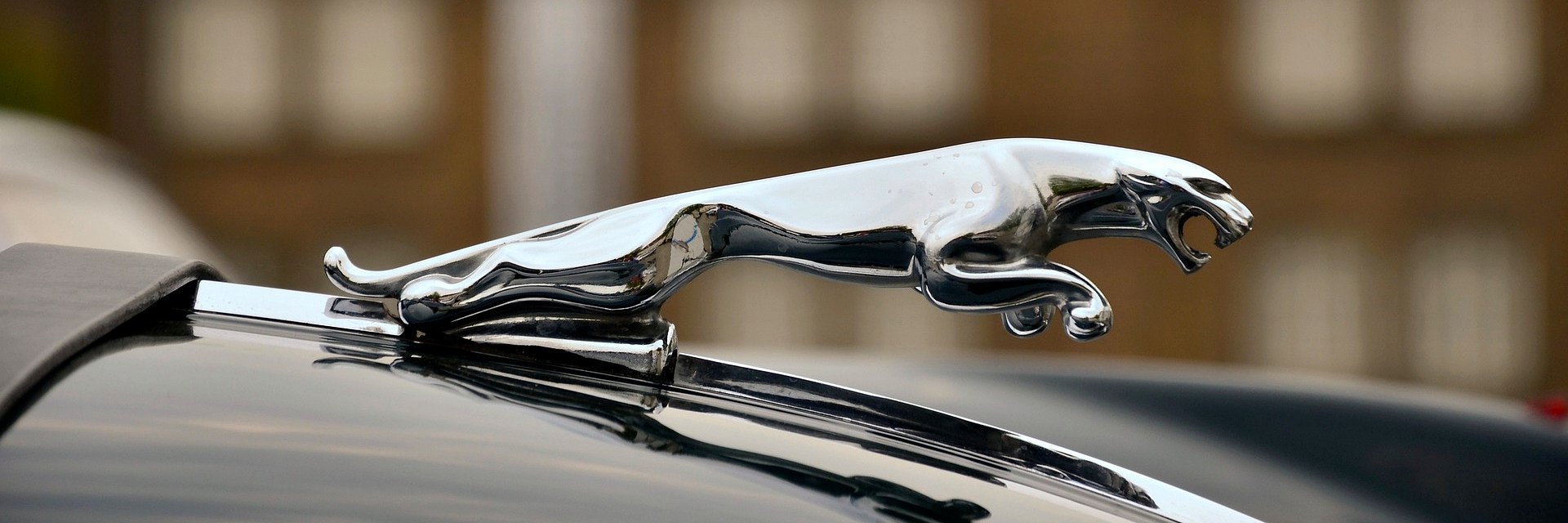 Używane auta marki Jaguar: 7 na 10 jest po wypadku