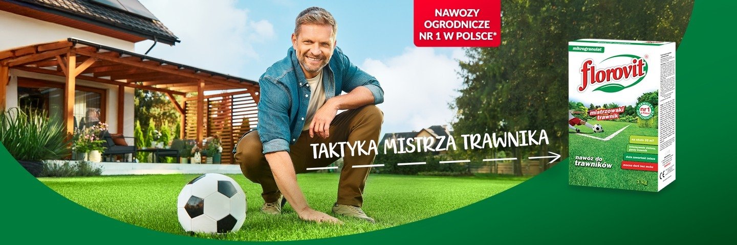 Ancymony (*ancy) z kampanią dla marki Florovit