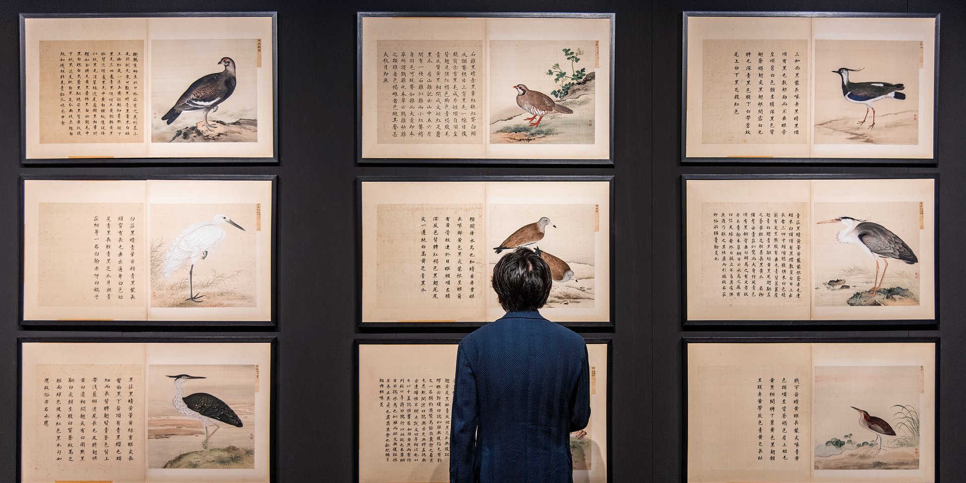18th Century Imperial Chinese Bird Paintings, Hidden in UK Homes for a Century, Fly to £780,480 at Auction