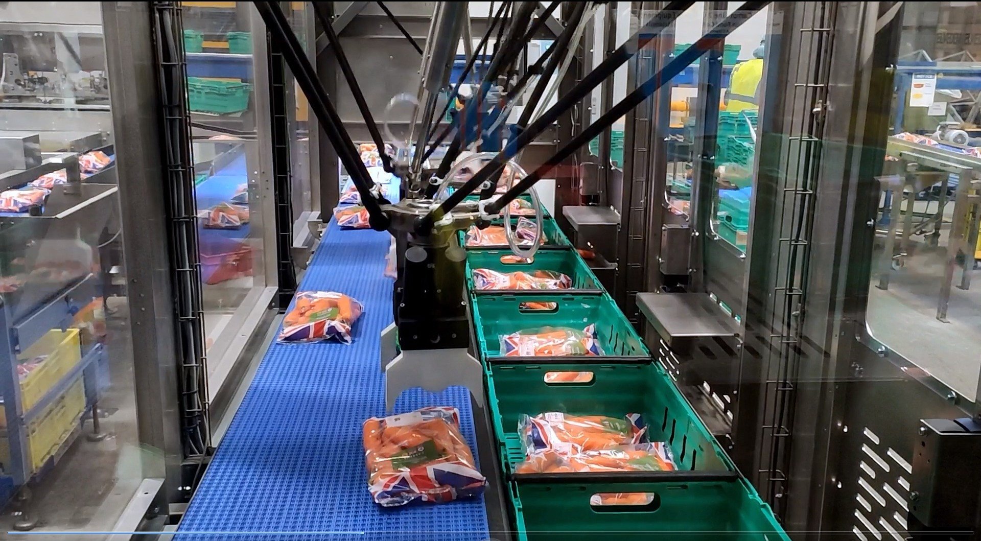 Brillopak & OMRON: un’alleanza tecnologica che rivoluziona l’automazione nel food packaging