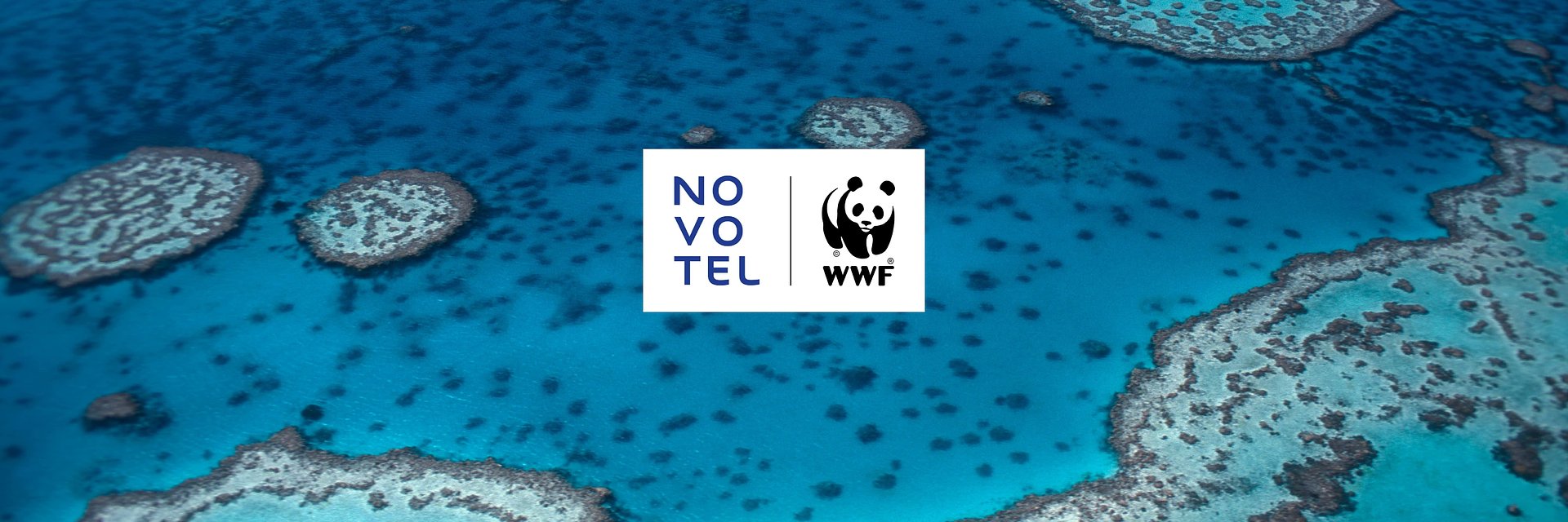 NOVOTEL ŚWIĘTUJE ROK WSPÓŁPRACY Z WWF I ZAANGAŻOWANIA NA RZECZ OCHRONY OCEANÓW