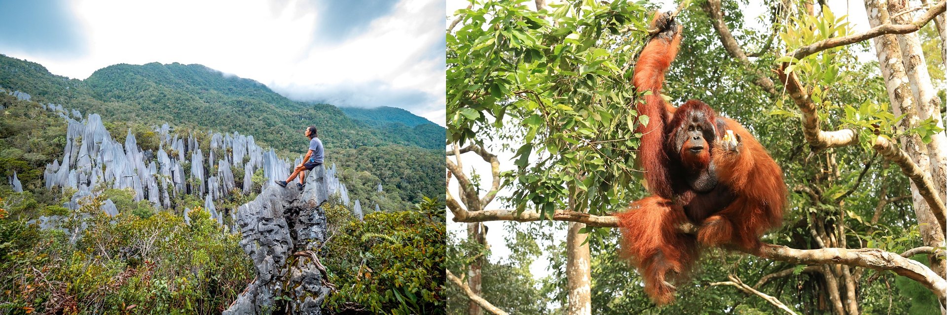 APAC Now appointed as UK PR Agency for Sarawak Tourism Board - to Drive Sustainable and Cultural Travel Promotion