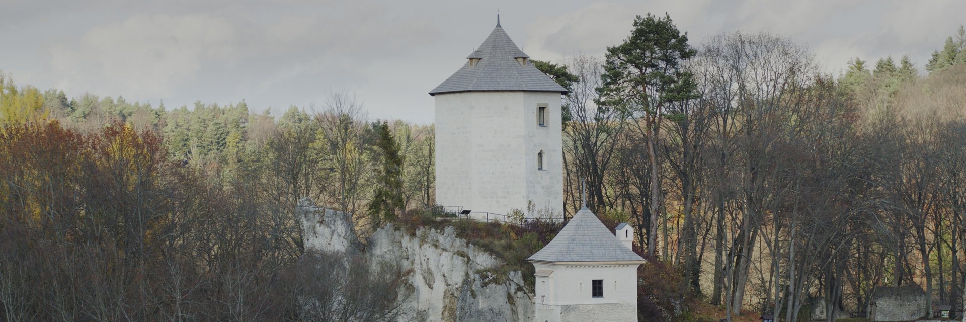 POLSKA Z GÓRY 9