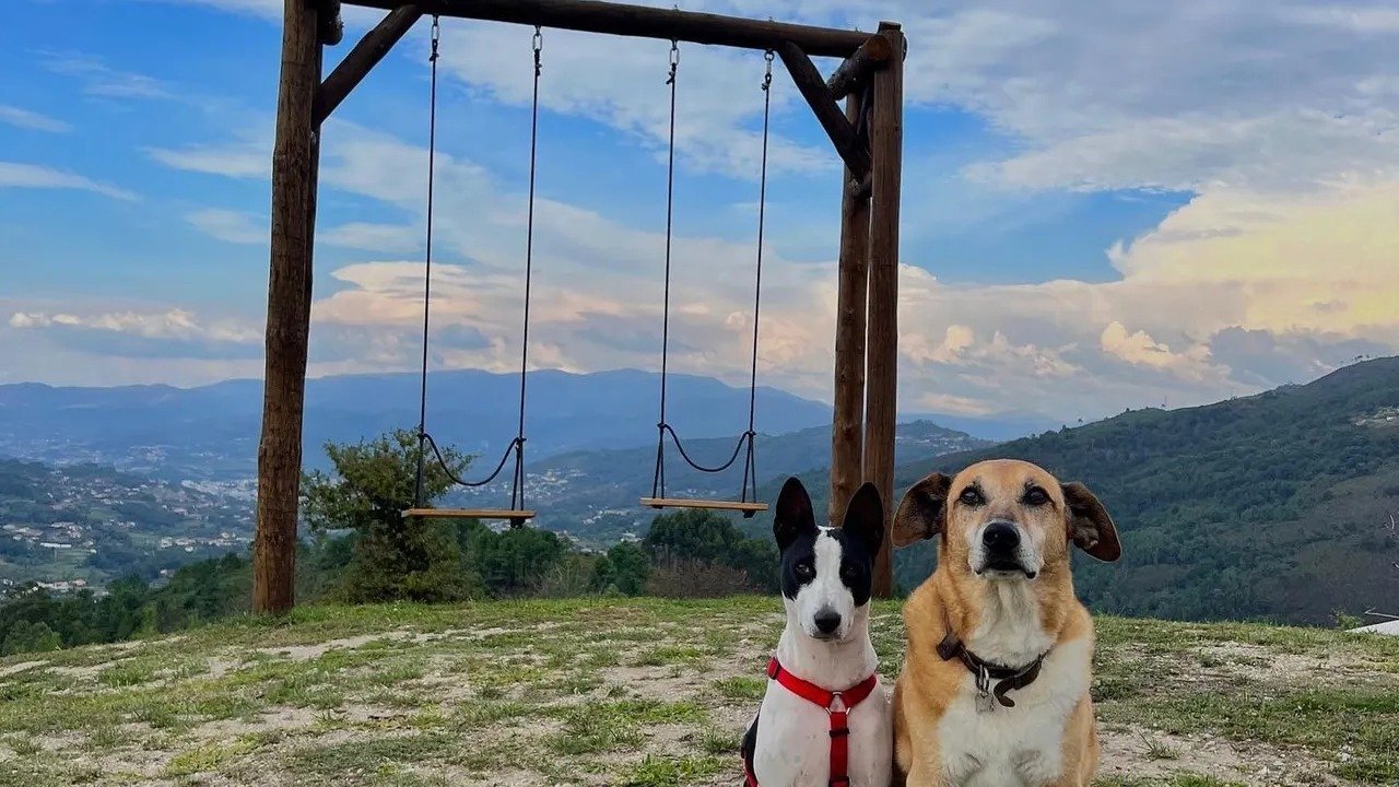 Os 7 Melhores Hotéis Pet-friendly em Portugal