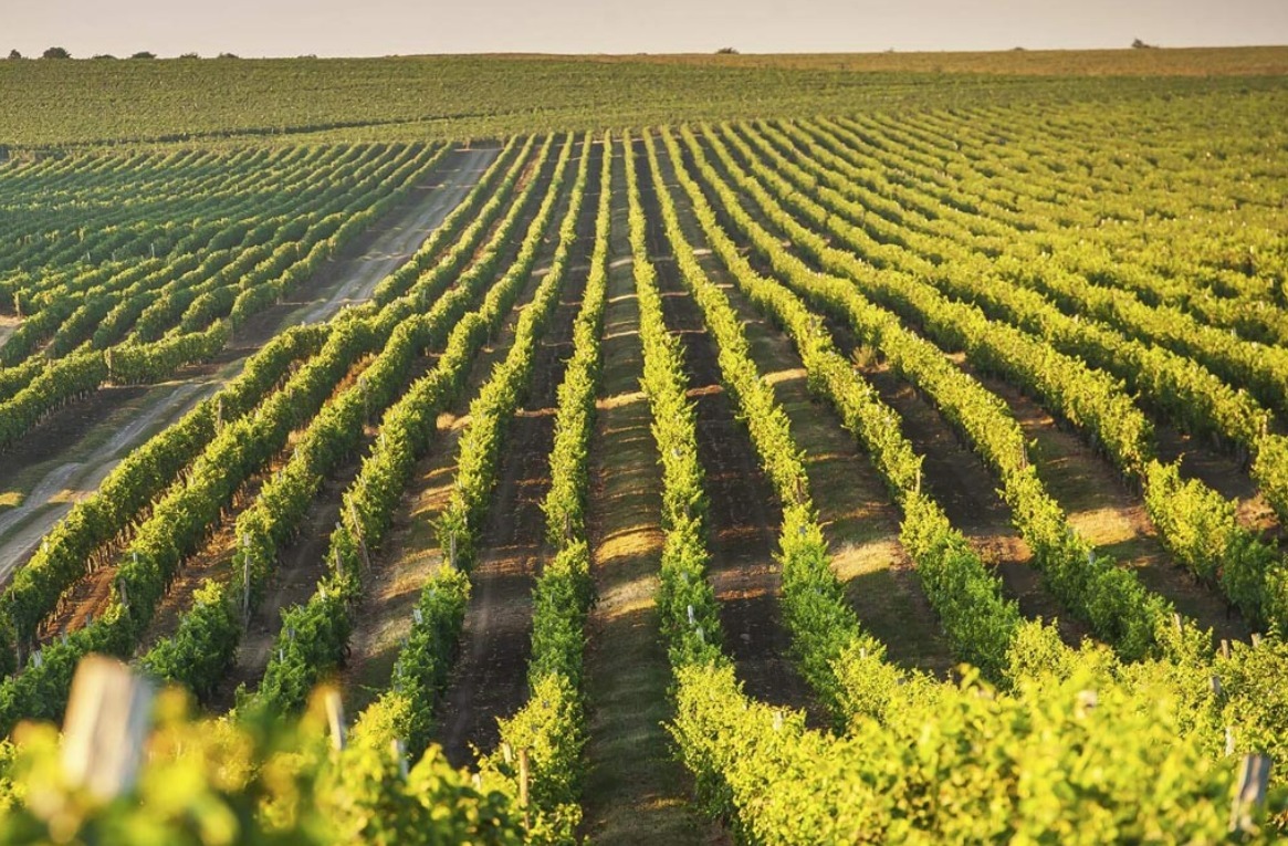 PKO Bank Polski finansuje międzynarodowe przejęcie