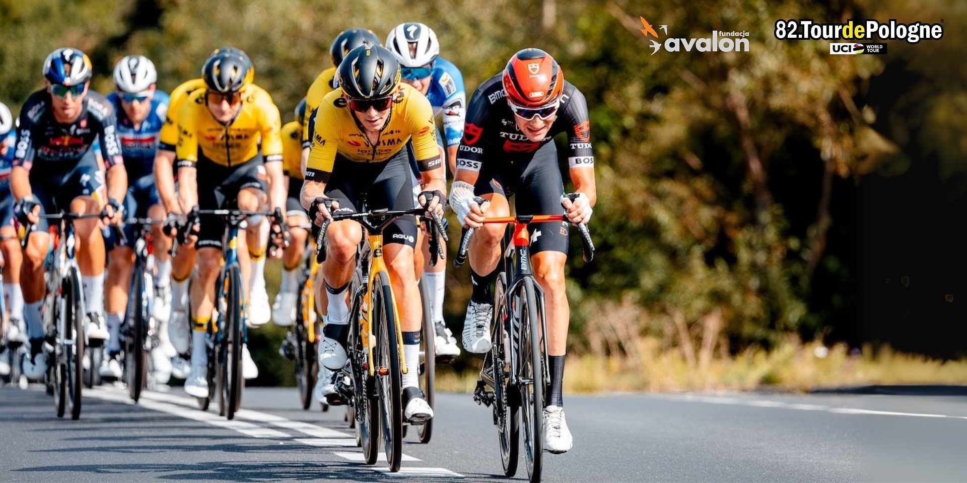 Sport bez barier – Fundacja Avalon wspiera dostępność Tour de Pologne 2025