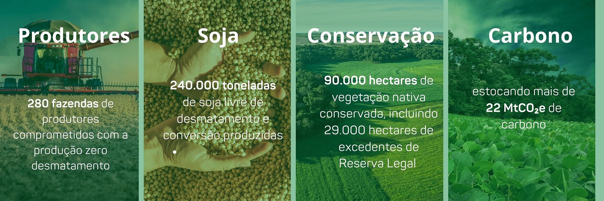 RCF conclui quarta rodada de investimentos e expande o crédito verde para a produção de soja livre de desmatamento no Cerrado