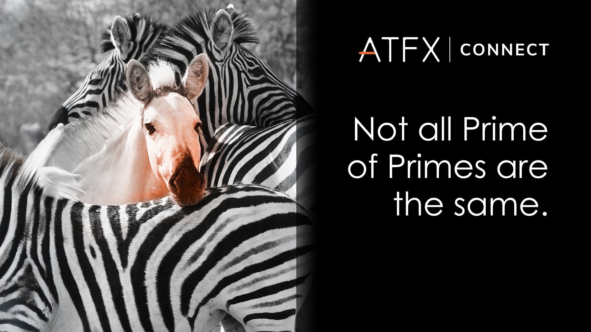 Not All Prime of Prime Brokers Are Created Equal