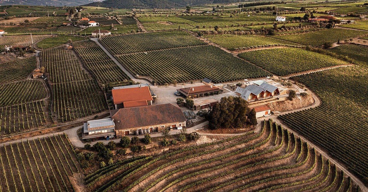 5 hotéis vínicos para brindar às vindimas com a Small Portuguese Hotels
