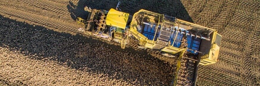 Pfeifer & Langen Polska rozpoczyna wyjątkową kampanię buraczaną