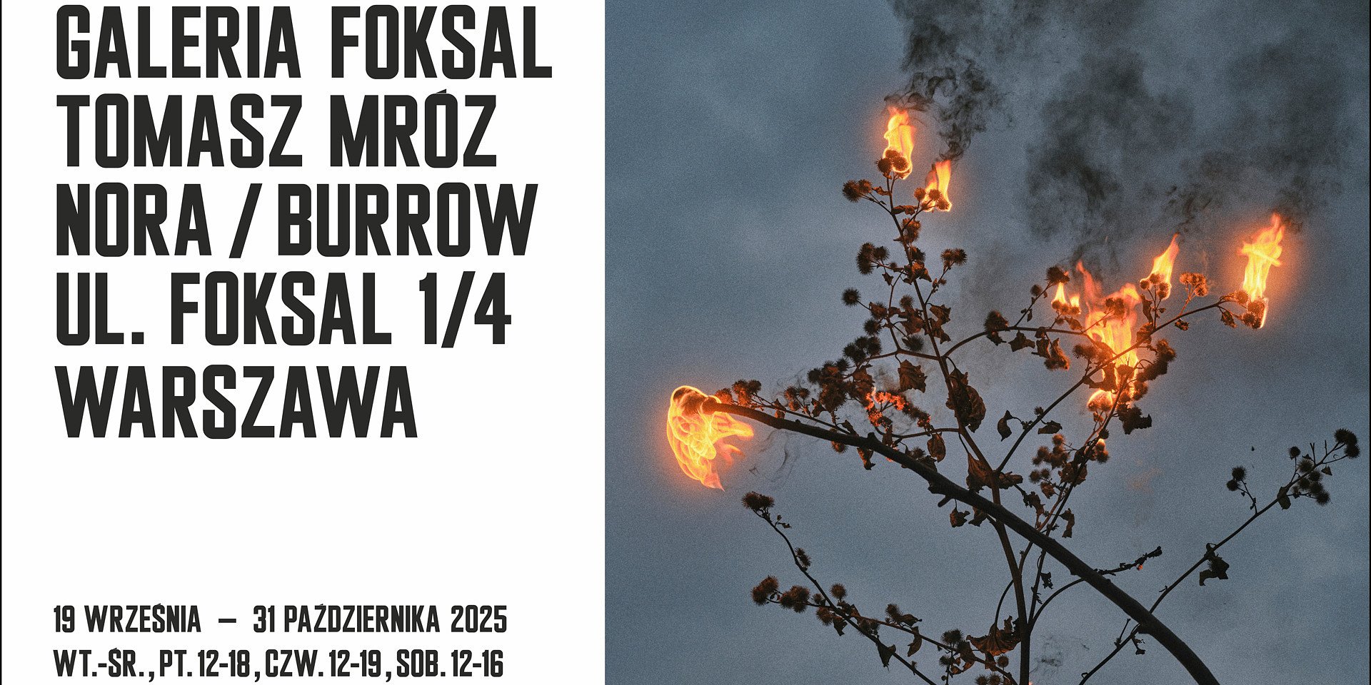 Wystawa „Nora / Burrow” Tomasza Mroza już od 19 września w Galerii Foksal!