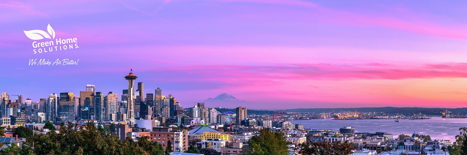 Say Goodbye to “Spray and Pray”: Seattle Gains a Science-Backed Mold Solution