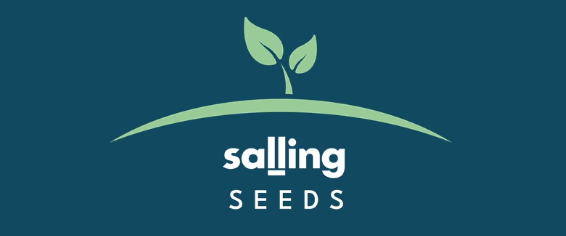 Salling Seeds uruchomiony, by wspierać startupy i innowatorów