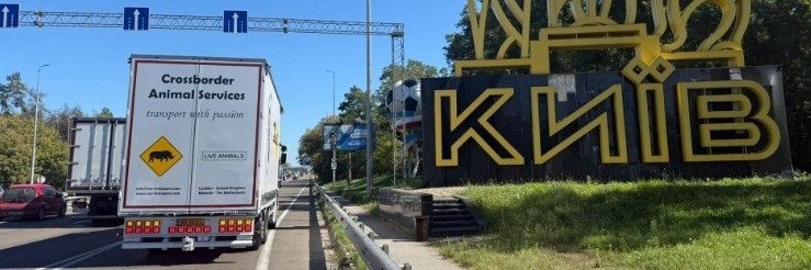 Akcja ratowania niedźwiedzi z Ukrainy. Transport zwierząt wymagał wieloetapowych i złożonych procedur celnych