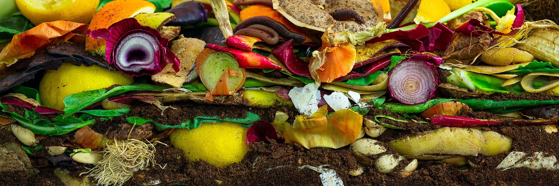40 proc. mniej marnotrawstwa żywności – efekt programu WasteWatch w Polsce