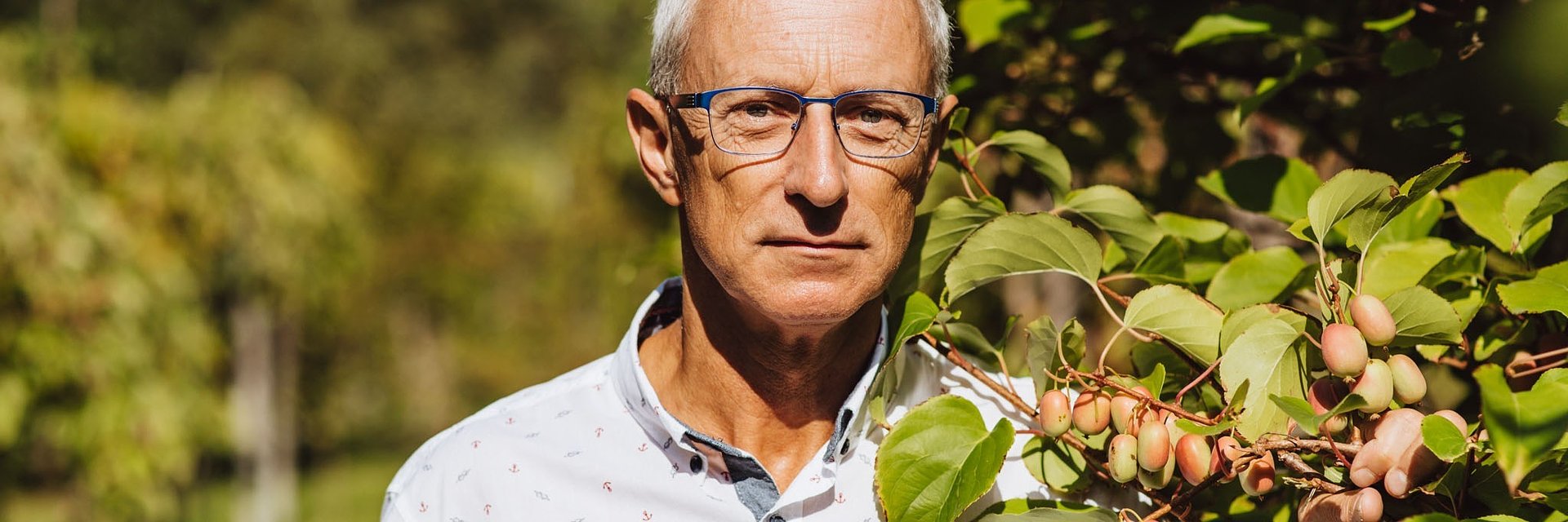 Mały owoc, wielka moc - wszystko, co musisz wiedzieć o polskim minikiwi. Rozmowa z prof. Piotrem Latochą